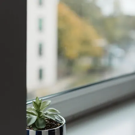 Bright 3-bed Flat By & Centre